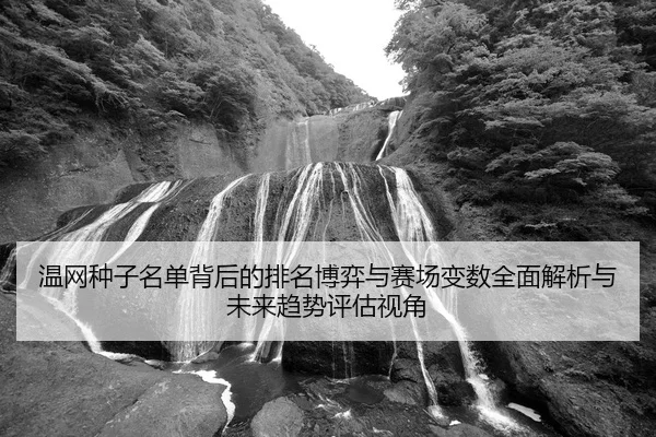 wen-wang-zhong-zi-ming-dan-bei-hou-de-pai-ming-bo-yi-yu-sai-chang-bian-shu-quan-mian-jie-xi-yu-wei-lai-qu-shi-ping-gu-2-265.jpg